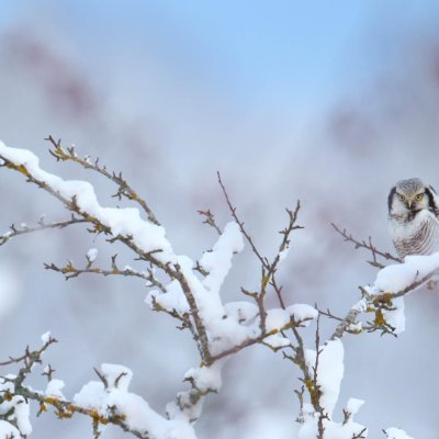 HeatherWeinstei's profile picture. 