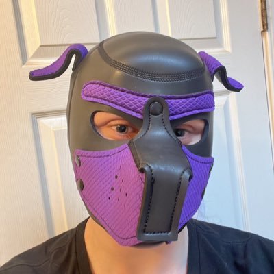 ShepardCain's profile picture. || 19 || 🔞 NSFW || Pup || homosexual 🏳️‍🌈 || he/him || Vers-Bottom || Femboy ||🚫NO MINORs/PEDOs/ZOOs🚫|| HUGE Musk/Scent/Ball Lover ❤️ || DMs Open ||