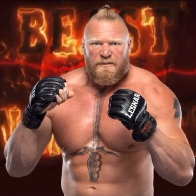 I like WWE and I like video games my favorite wrestler is Brock Lesnar