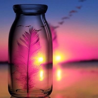 hhh0200's profile picture. 