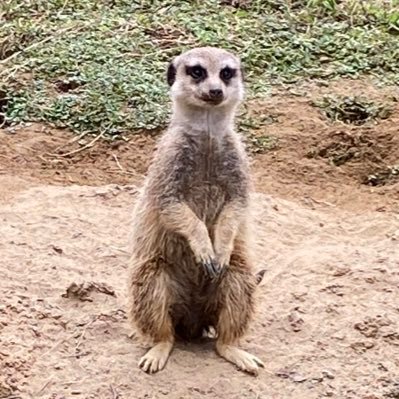 M_piropiro1260's profile picture. FGOAC垢になりました。NY&A(にゃんだ)です。ランクマ復帰！たま〜に固定に参加させて頂けたら嬉しいです！