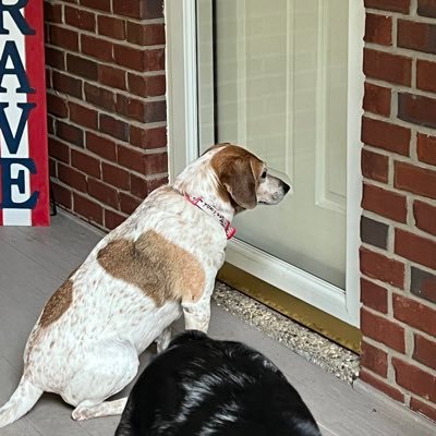 Husband / Father of Four / Army Veteran / U of Louisville Grad / 2 Dogs / Baseball, Softball & Bourbon