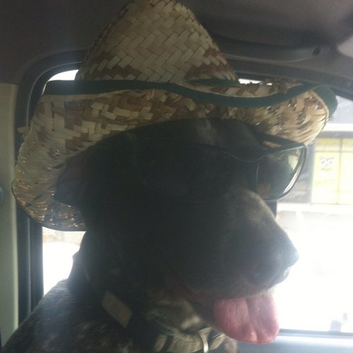 JohnathanCrowe's profile picture. 