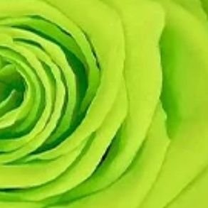 artFashionsaudi's profile picture. نوره الغامدي 👑 Norh
دراسات لونيه
 تحليل لغة الفنون
فنان تشكيلي
مصممة ازياء شعبيه
مصور🌷 مرشد سياحي اسري
💚مسرح الطفل 👶