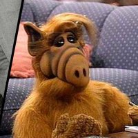 Alf(@FlamCape) 's Twitter Profile Photo