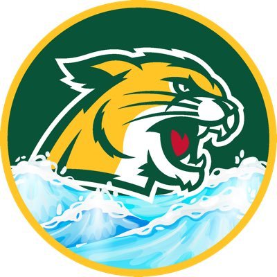 Official Northern Michigan University Swim Team page! :)