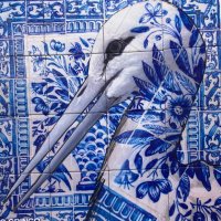 U53r_X (@u53r_x) 's Twitter Profile