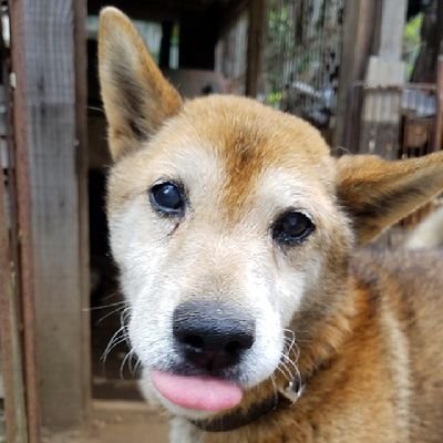 masari_95's profile picture. 三人称、96猫、こっちのけんと、ボディピアス、歌うことすきです。