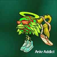 anraddict's profile picture. Start the day with coffee. end the day with nfts.