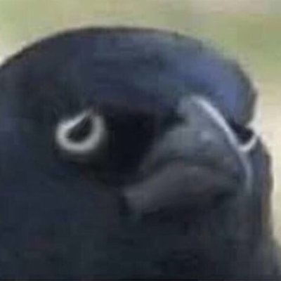 LIINUS 30's | Viking | Twitch Affiliate | Professional dumbass | Lover of game lore | Business E-mail: jarlnoisemaker@outlook.com