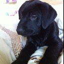 Duke Collins - @BigDukeC - Twitter