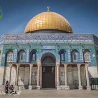 Dayf alewady (@97rgih47d0udchd) Twitter profile photo