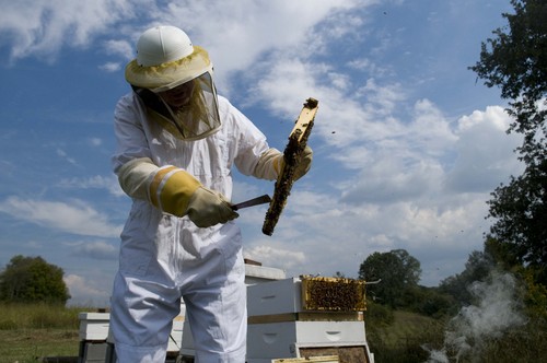 Blount County Beekeepers Association; http://t.co/SdpV8u2kSD