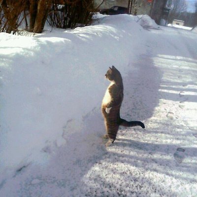 Rusty_2111's profile picture. 