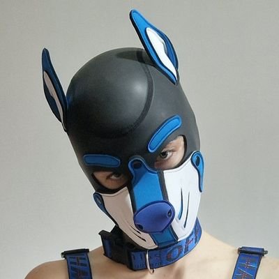 23 y.o french horny doggo | Mostly Top/Sub | Biker/Fur | DM's Friendly | SFW : @AstroRenard | TG : AstroDoggo | @RedPup_AD is my dog