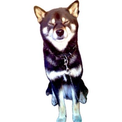 smilesfor's profile picture. 趣味は夫婦でサッカー観戦(FC東京)、お酒、たまにライブ(チャラン・ポ・ランタン、ハンバートハンバート)。嘘をつかない、見栄を張らない、という二つになるべくなら、という言葉を足して生きてます。日本手酌の会及び全日本もう帰りたい協会会員。