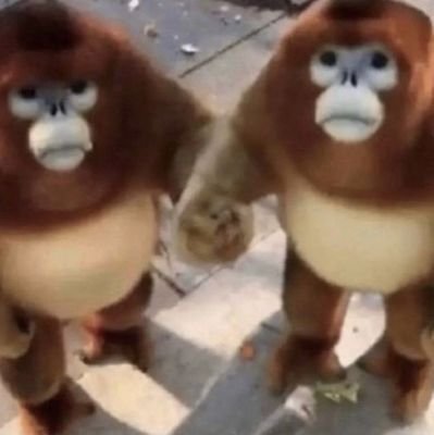 lanyw2ecore's profile picture. 