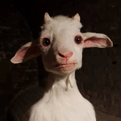 BeaujakGoatman Profile Picture