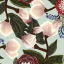 lydia beard - @lydiabe68143840 - Twitter