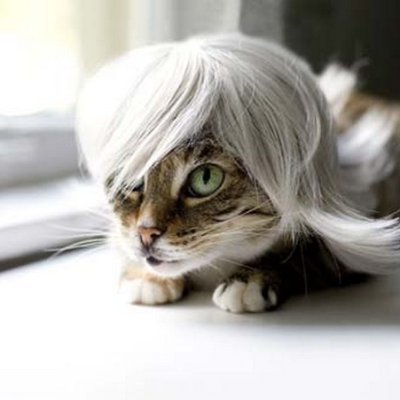 willywonkabonk's profile picture. Sports, ai art, music.