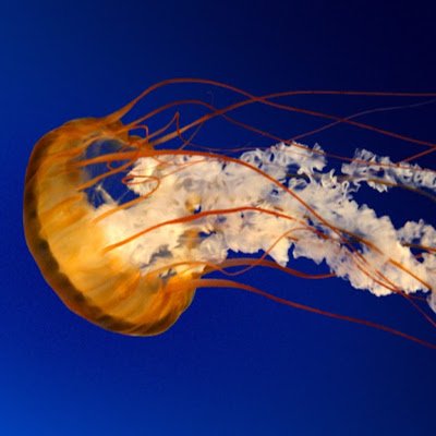 ReidYoung460531's profile picture. 