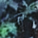 daddylongpock's profile picture. 