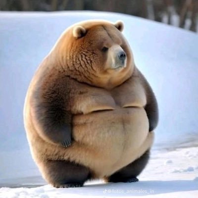 BTapiador's profile picture. AirPods addict | rng god | Can name any Pokémon gens 1-3