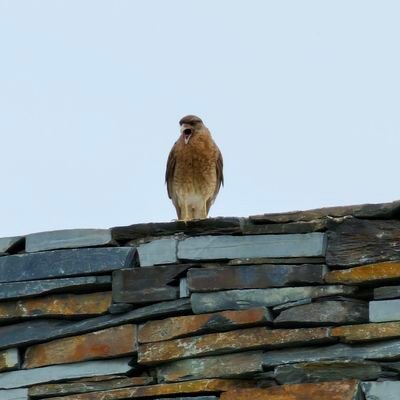 tecnologo9ar's profile picture. Estoy mirando, si puedo meto un bocado.
Políticamente no extremista, digo lo que pienso sin importar el color político.