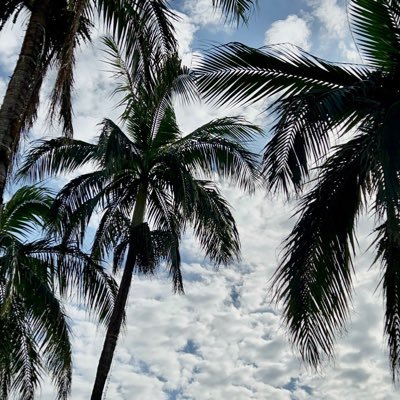 yper916yper's profile picture. 