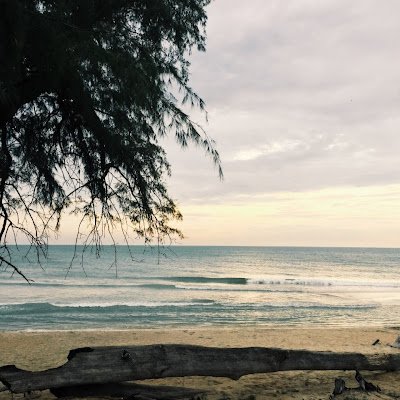 tee_kunnie's profile picture. 