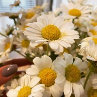 Gladys Dare (@daregladys48905) 's Twitter Profile