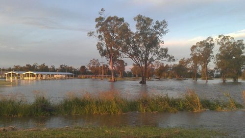 NorthStarNSW's profile picture. North Star is a small village in northern New South Wales near the Queensland border. Follow us for information on community events.