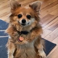 Savannah Williams (@sulasmom) 's Twitter Profile