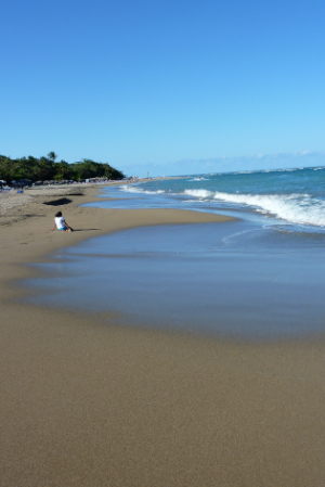 musing earthly matters