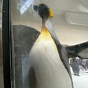 Jordan Raines - @JordanRain64166 - Twitter