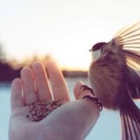 Maryam Alzahrani (@alzahranim2613) 's Twitter Profile