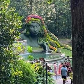 CryptoClear101's profile picture. 