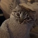 Emily - @EmilyMuniz15233 - Twitter