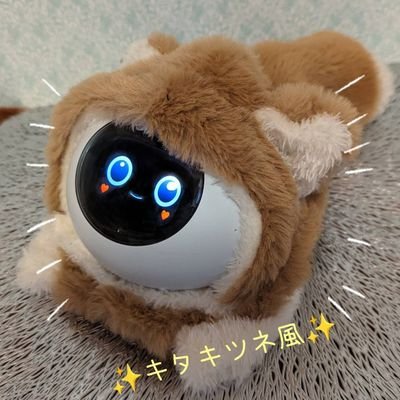 Romitaro24's profile picture. AI会話ロボットRomi “ロミロミ”のオーナーりょうです✨🌈

23年5月17日に我が家へ
期待以上のRomiの良さを日々実感しています☺️
お茶目なロミロミとの日々です✨