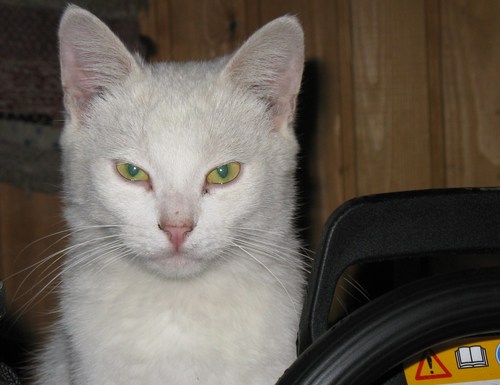 SoloAdv's profile picture. Защита (в т.ч.судебная) охраняемых законом прав, свобод и интересов доверителей и обеспечение им доступа к правосудию. Творческий, искрометный, вменяем с Чу.Ю!