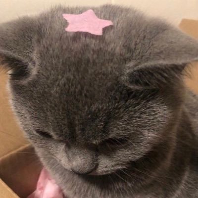 jr0daety's profile picture. 