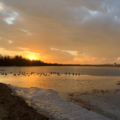 Be a traveller, not a tourist. The Lakehouse needs more tacos. Now coming at you from beautiful lakeside Barrie. Mostly. #SLT North #ItGetsBetter 🏳️‍🌈#GoHabs