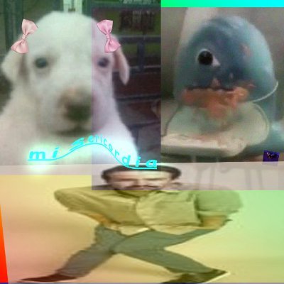 aeris_theowl's profile picture. priv for @JudgementMarsh1 grafic desing is my pashun my pissshoe in bio