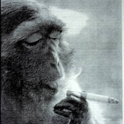 ru74_74's profile picture. 5pqH44GL44KI5YON44GR