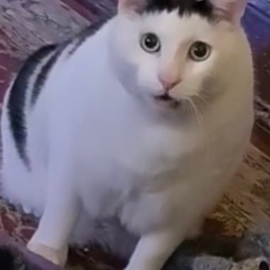 SGRUSH_AOSM's profile picture. 