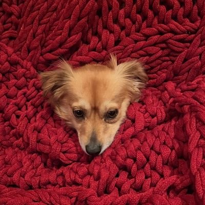 LeaveTerminal's profile picture. Conservationist