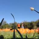 Garrett Knapp - @gknapp40 - Twitter