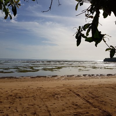 herdhianta6711's profile picture. 