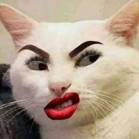 Chaiza123 (@chaiza1233) 's Twitter Profile