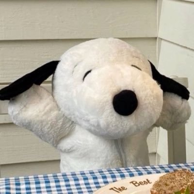 aballoflover's profile picture. 그늘을 부지런히 빛으로 채우는 사람